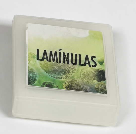10 lamínulas de vidro