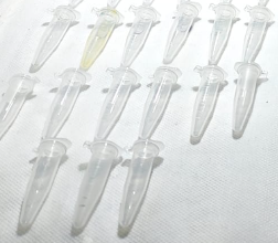 20 microtubos graduados de 1,5 mL